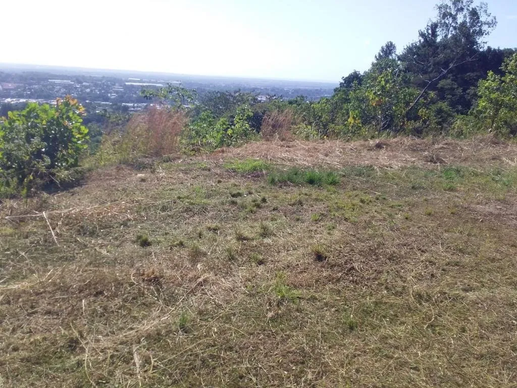 Terreno con vista a la ciudad en Cerro Azul