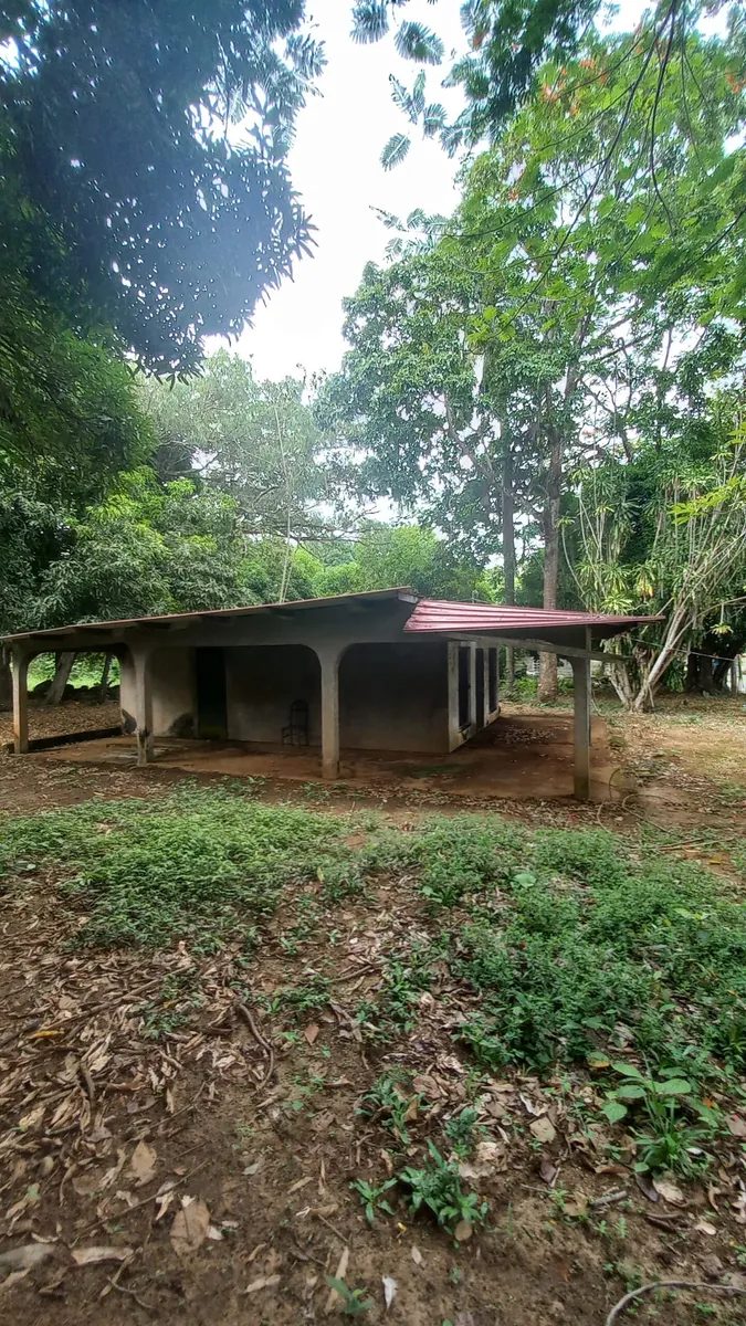 Se vende 23 hectareas en la Mesa de San Martín